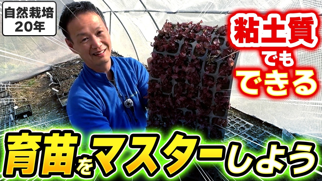 【自然栽培418】野菜増収の決め手！苗の作り方！