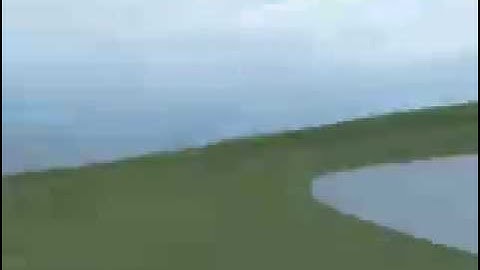 Speeding thru the Woods