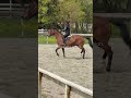 She did so well just a little bit spunky in the wind ❤️