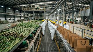 Bamboo Paper Bag Making Process 🌿 | Eco-Friendly Paper Bags from Bamboo | Sustainable Packaging Idea