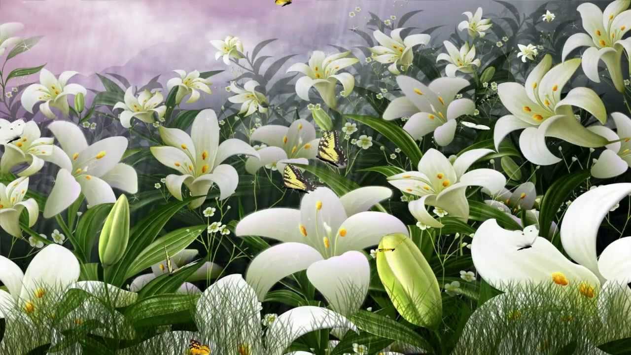 Butterflies World Screensaver