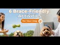 6 Brace Friendly Activities you can do with your Dog