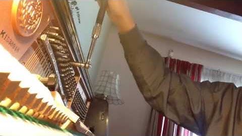 Nudging with Double String Unison and Beat Speed Windows.