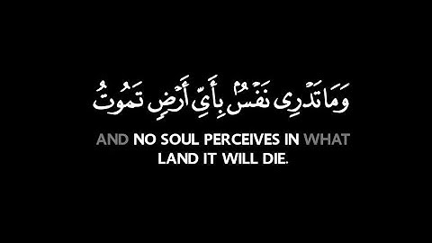 ويعلم ما في الأرحام" القارئ ياسر الدوسري مؤثرة جدا | كروما شاشة سوداء بدون حقوق جاهزة للتصاميم