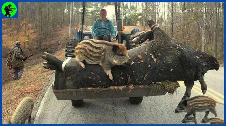 How Do American Hunters Deal With Millions Of Ferocious Wild Boars | Farming Documentary