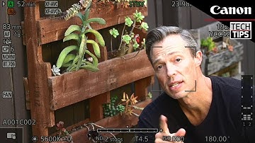 Canon Tech Tip: COMPACT-SERVO Lenses and the EOS C70