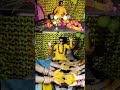 Haldi Shoot Falasiya