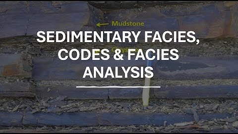 Sedimentary Facies, Codes & Facies Analysis
