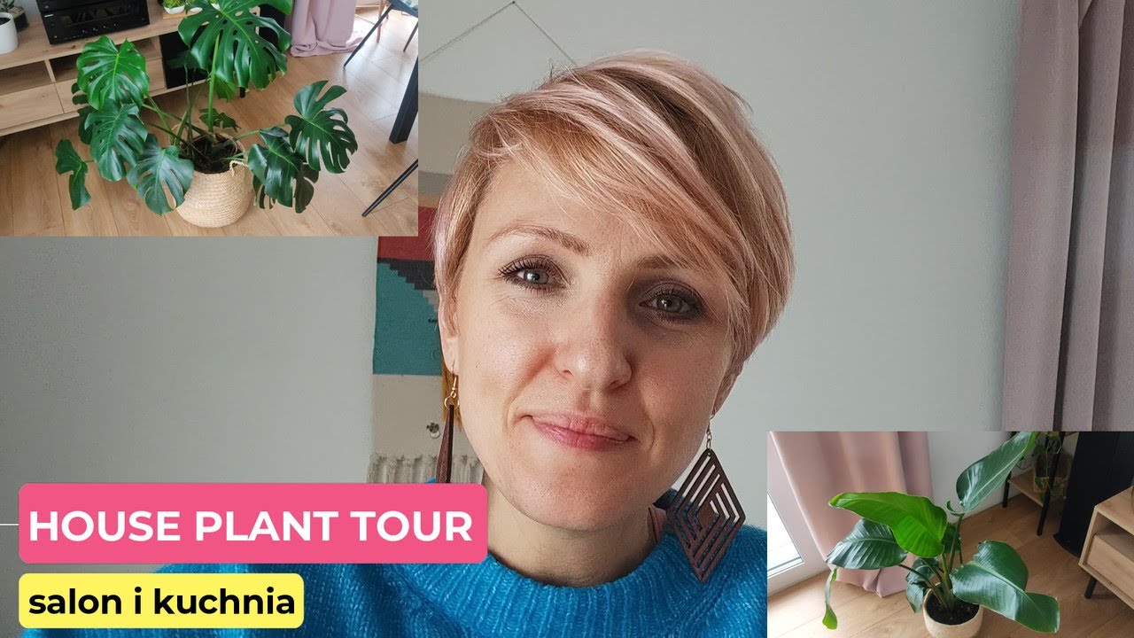 House Plant Tour | Rośliny w moim domu | Rośliny w salonie i kuchni |  || PIPILOTKA