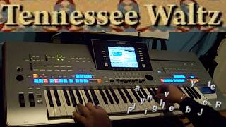 Video thumbnail of "Tennessee Waltz - cover T4"