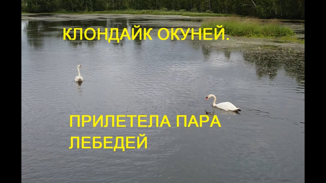 Где порыбачить на оке