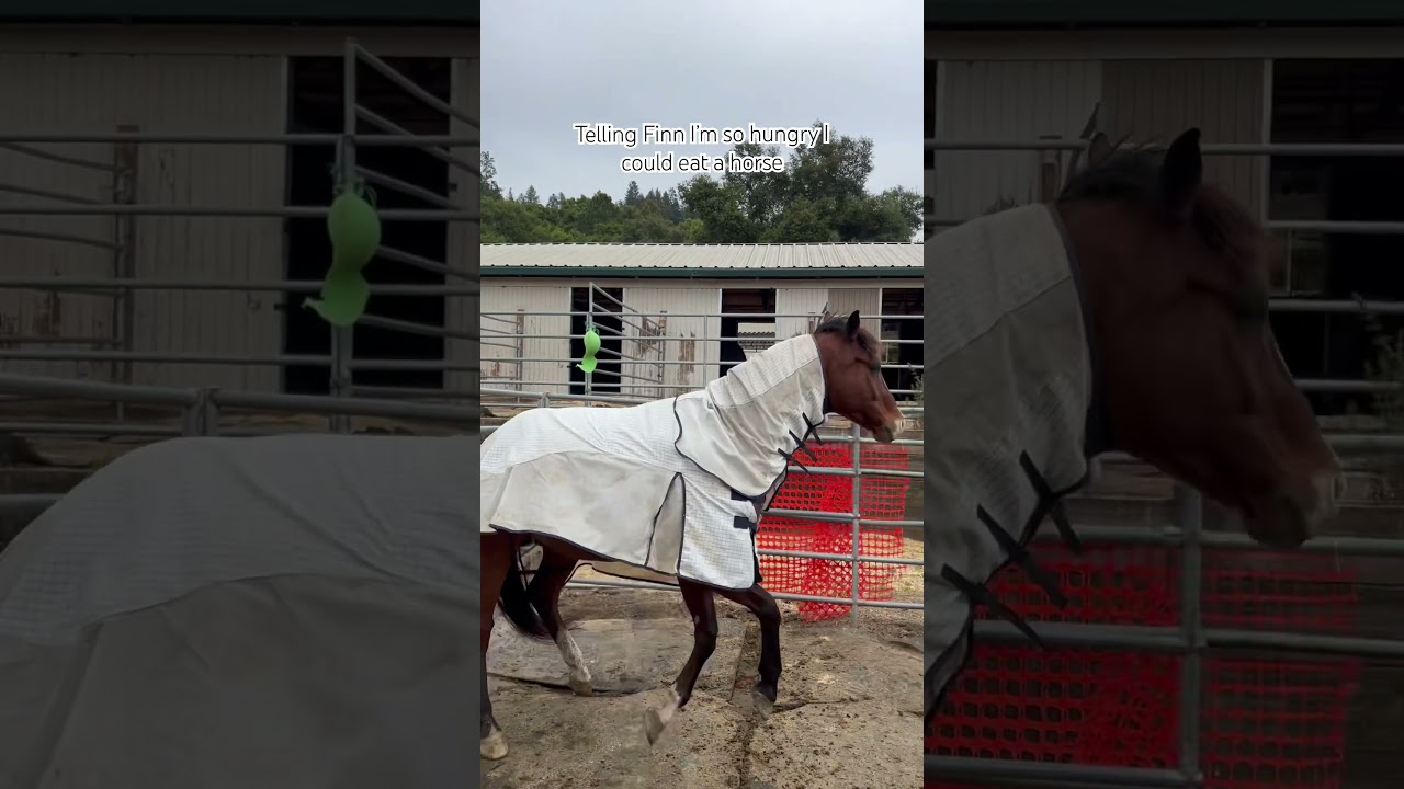 Говорю Финну, что я так голоден, что могу его съесть 