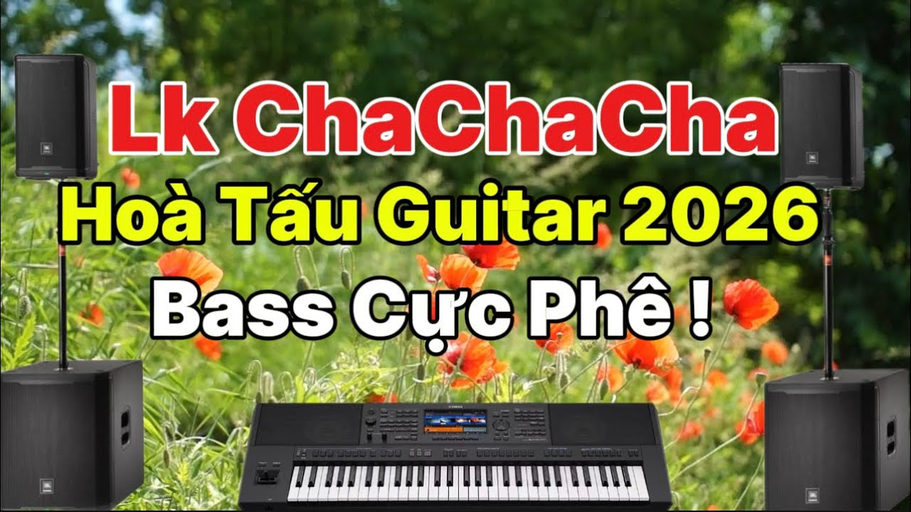 Lk CHACHACHA  Mới 2026 / Hoà Tấu Guitar Cực Hay !Giai điệu nổi tiếng 7x 8x!