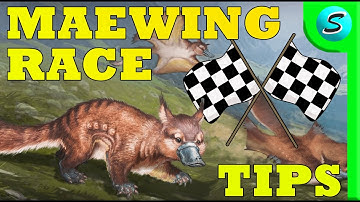 TOP MAEWING RACE MISSION TIPS | Genesis Part 2 | ARK Survival Evolved
