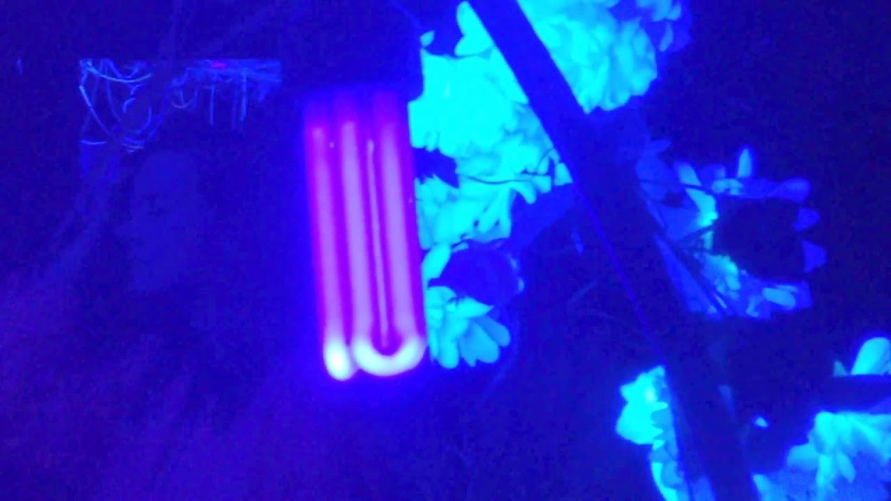 Hatroneli @ Efir Club, Kiev, April 2016