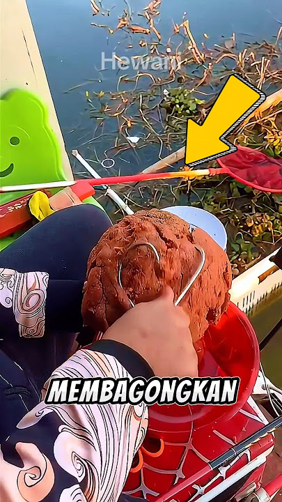 Orang ini mancing dengan umpan yang besar ❗❗#shortvideo #animals #fishing #mancing #kailpancing