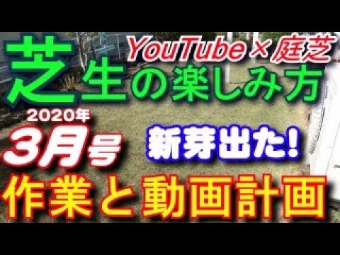 ３月の芝生の手入れと動画計画 芝活 Youtube