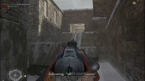 CoD 1.3 Llama Hacking