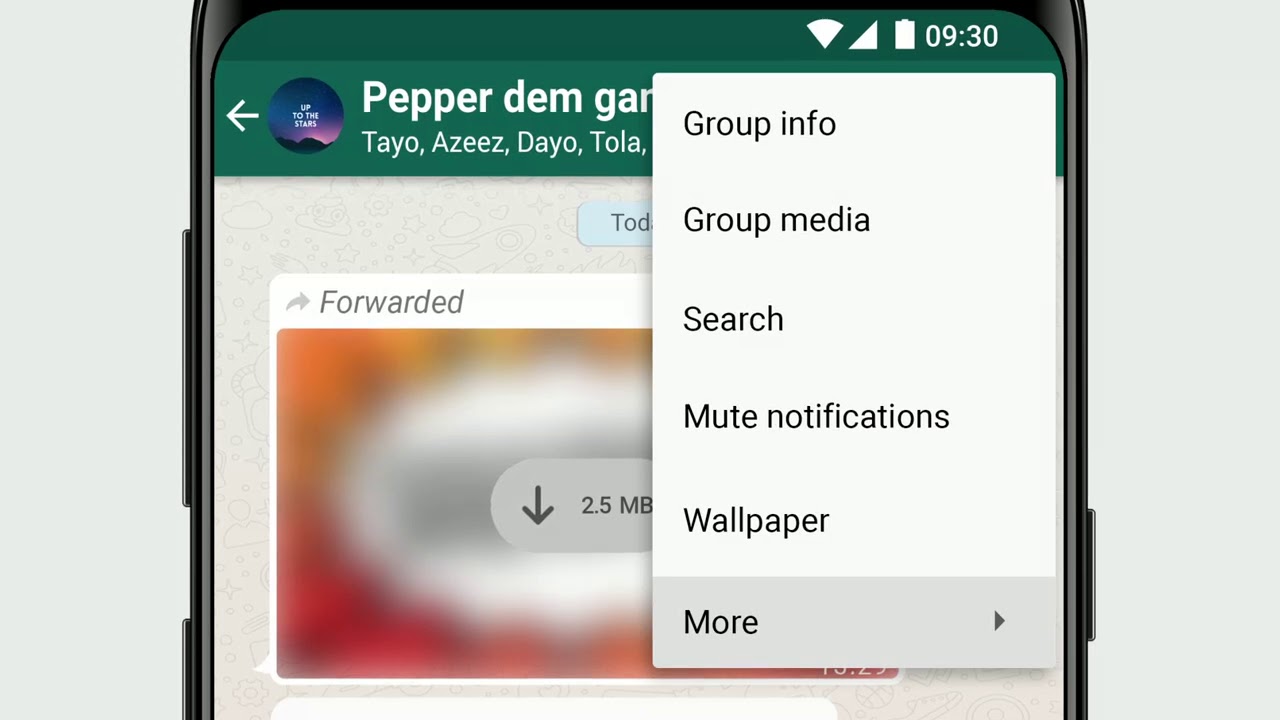 WhatsApp Hjelpesenter - How to exit and delete groups