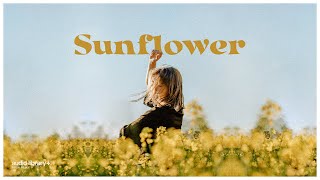 Sunflower Soyb Free Background Music Audio Library Release