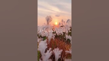 سورة الضحى الآيه ١-٤