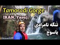 IRAN, Tang-e Tamoradi - تنگه تامرادی یاسوج