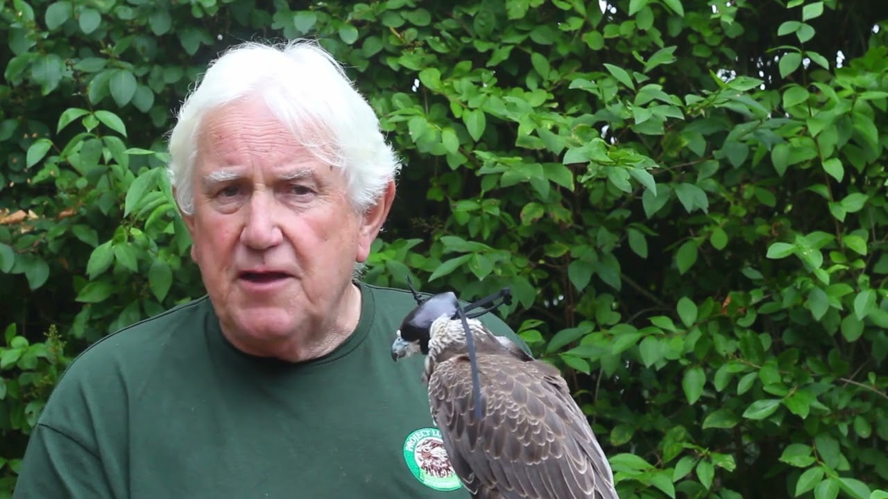 Action in Conservation Update: Summer 2022