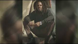 Ice Mc - Its A Rainy Day Acapella Version