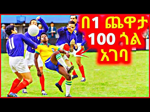 ቪዲዮ: የፀረ-ፈንገስ ወኪል ለግድግዳዎች፡ ግምገማ፣ ቅንብር፣ ምርጫ