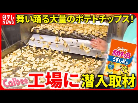 【カルビーの秘密】ポテトチップス製造ラインを㊙︎公開！じゃがいもを&quot;高速処理&quot;するスゴ技も!? 　立ち入り禁止の向こう側〜カルビー・ポテトチップス編〜『every.特集』