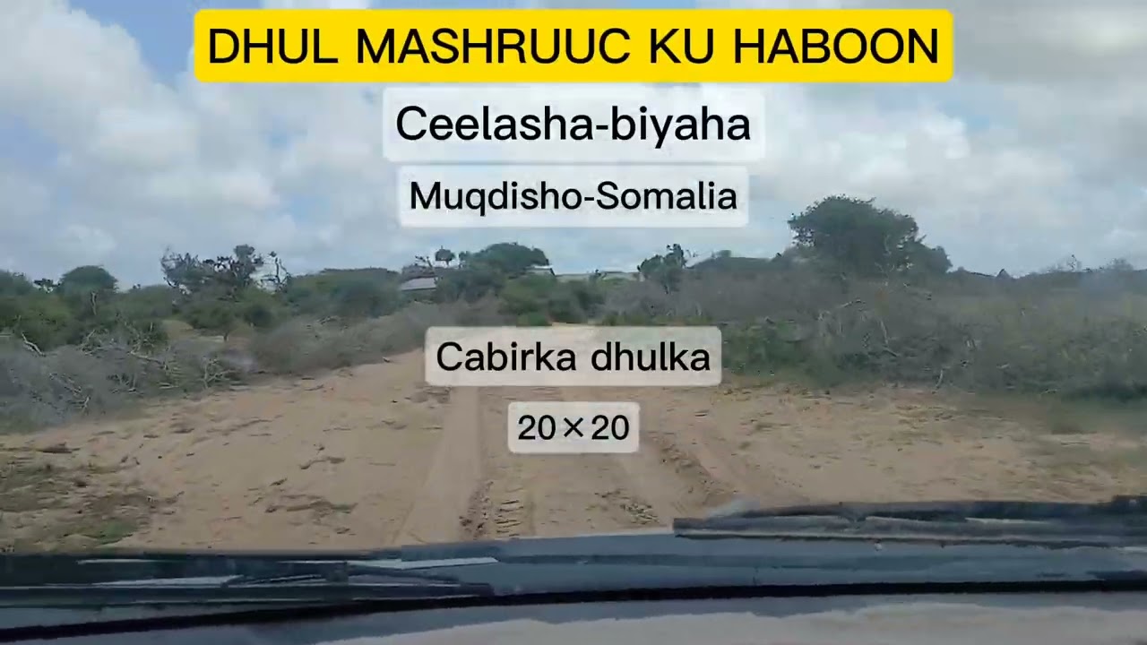 DHUL MASHRUUC KU HABOON: CEELASHA-BIYAHA DULEDKA MUQDISHO | Whatsapp +252614272400 |
