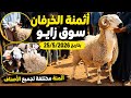 Live From Zaio Market Prices Of Sheep And Sacrificial Livestock For Eid Al Adha On 05 25 2026 