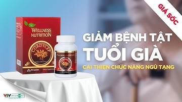 COMBO 4 HỘP TPBVSK WELLNESS NUTRITION - Cải Thiện Chức Năng Ngũ Tạng, Giảm Bệnh Tật Tuổi Già