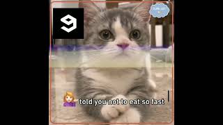 told you so #9gag #hiccups #reels #shorts #subscribe