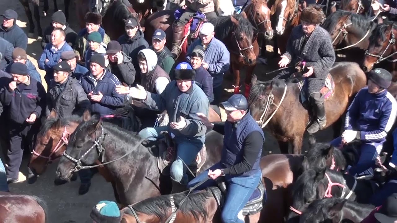 Астана Нуркен мырзанын кокпары Шардара 03.03.2018 Часть-1
