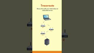 Ping vs. Traceroute: What's the Difference?