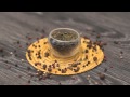 Зеленый чай "Тай Пин Хоу Куй - Обезьяний Главарь из Тай Пин"