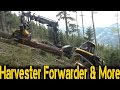 Ponsse Bear | Steep Slope Harvesting