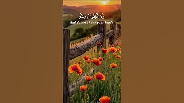 وتم الحج والعمره لله #سوره البقره#قران_كريم _
