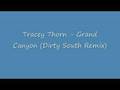 Tracey Thorn - Grand Canyon (Dirty South Remix)