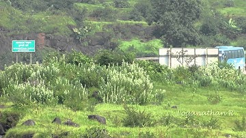 Shivneri MSRTC Bus in ExpressWay
