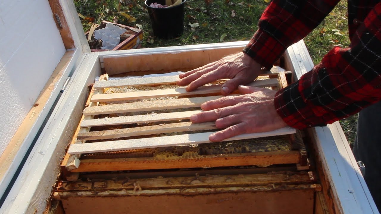 Заставная доска в улье своими руками