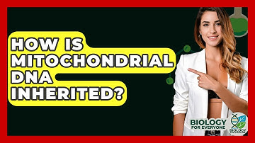 How Is Mitochondrial DNA Inherited? - Biology For Everyone