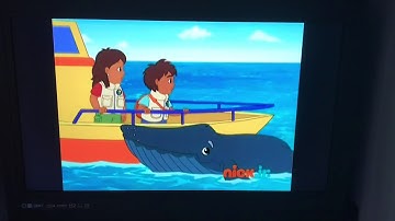 The Humpback Whale In Trouble🙁