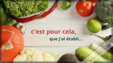 vidéo introductive questionnaire sphinx