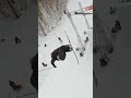 Mac Forehand's Inverted Rail Slide