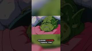 The Pword To The Namekian Dragon Balls