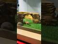 It’s eating time!! (Part 2)