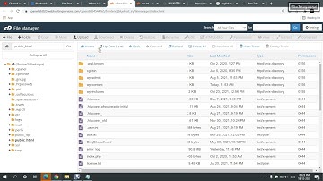 how to Add ADS.TXT file without plugins in WordPress