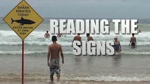 Reading the Signs - How can we better coexist with sharks?